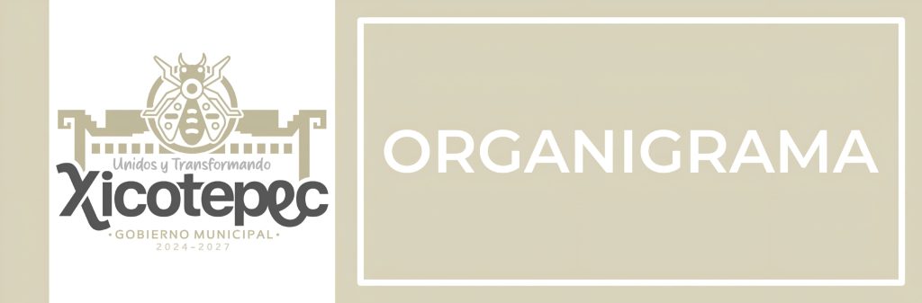 ORGANIGRAMA
