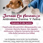 JORNADA DE VACUNACIÓN ANTIRRÁBICA CANINA Y FELINA EN XICOTEPEC