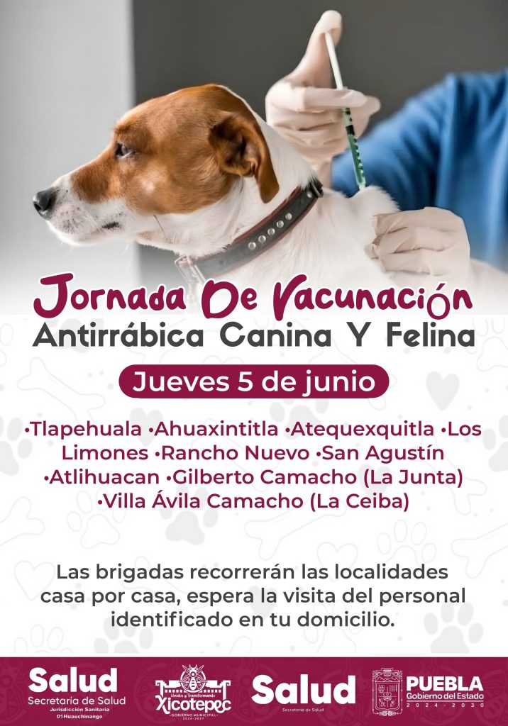 JORNADA DE VACUNACIÓN ANTIRRÁBICA CANINA Y FELINA EN XICOTEPEC