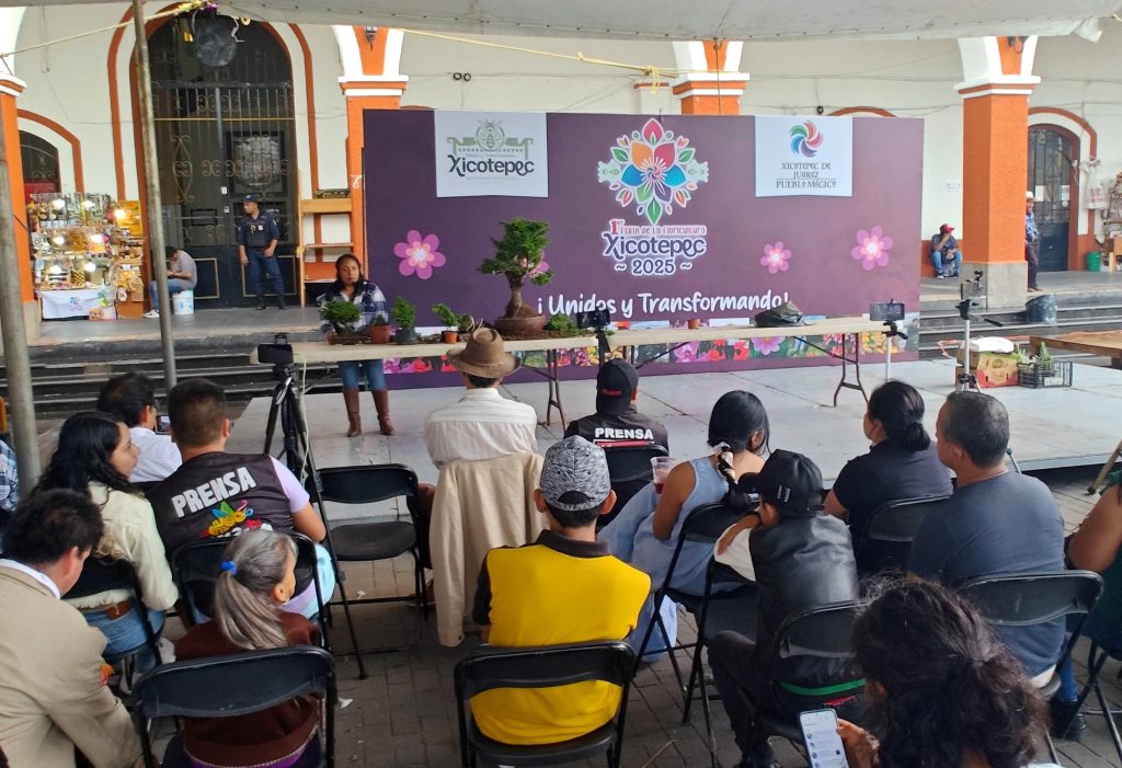 XICOTEPEC, PRODUCTOR DE BONSÁIS GRACIAS A PERSONAS COMO ROSENDA