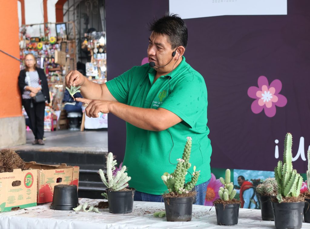 ALFREDO CULTIVA Y REPRODUCE CACTUS, UNA TAREA QUE PARECE FÁCIL PERO REQUIERE PRÁCTICA Y ENTREGA