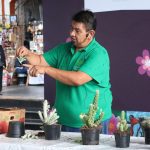ALFREDO CULTIVA Y REPRODUCE CACTUS, UNA TAREA QUE PARECE FÁCIL PERO REQUIERE PRÁCTICA Y ENTREGA