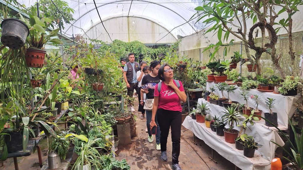 CON VISITAS GUIADAS IMPULSAN RECONOCIMIENTO A LA FLORICULTURA DE XICOTEPEC