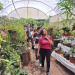 CON VISITAS GUIADAS IMPULSAN RECONOCIMIENTO A LA FLORICULTURA DE XICOTEPEC