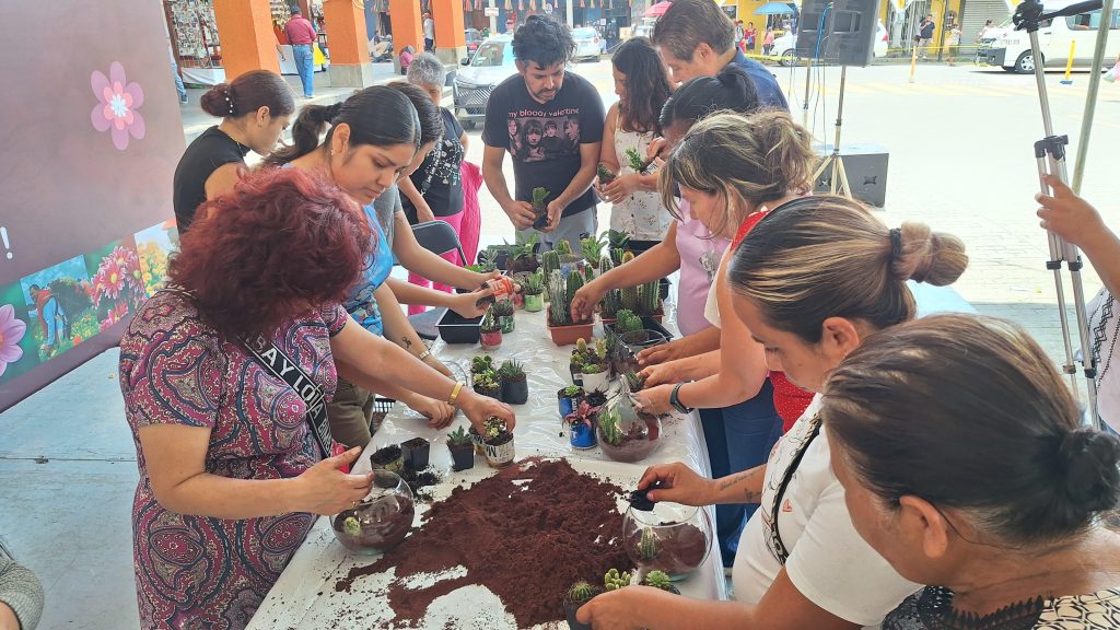 PROMUEVEN LA CREACIÓN DE TERRARIOS PARA CUIDAR LA NATURALEZA Y EMPRENDER NEGOCIOS