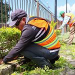 CUIDAR Y MANTENER LIMPIOS LOS ESPACIOS PÚBLICOS, TAREA COMPARTIDA