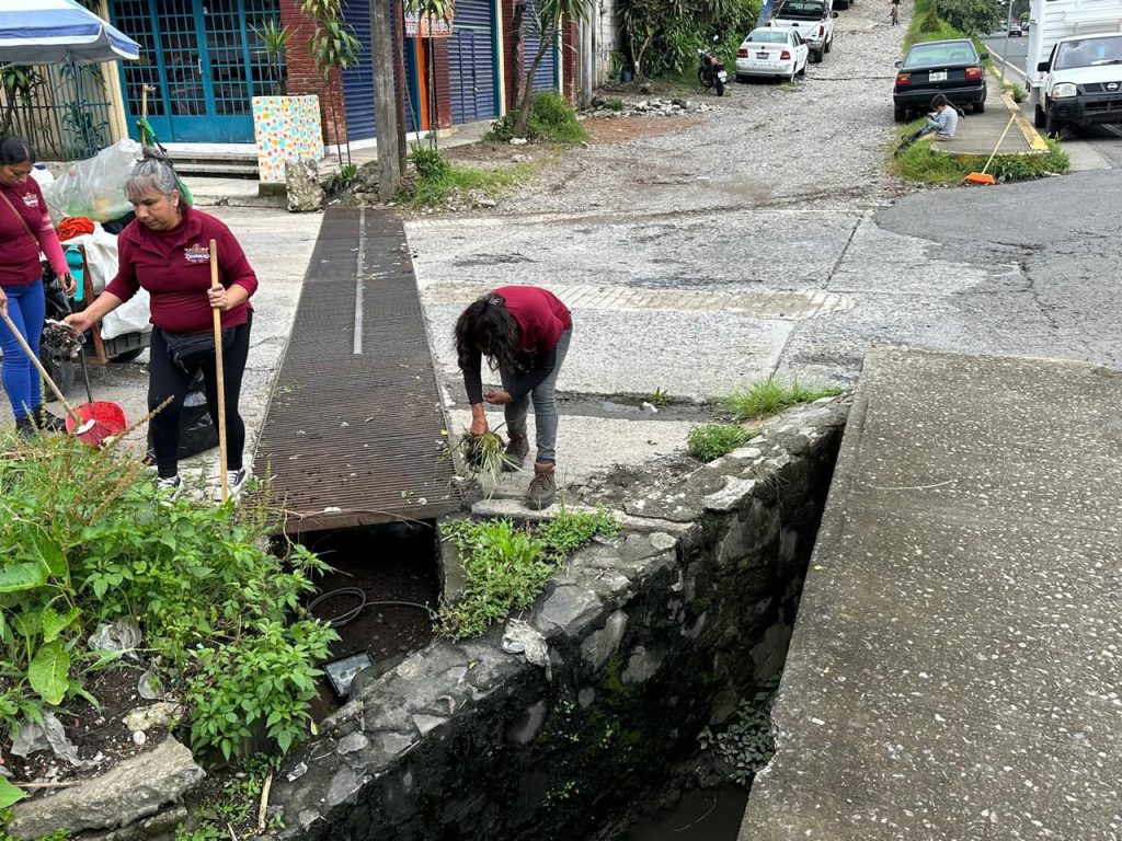 LIMPIA PÚBLICA REALIZA TRABAJOS EN BOULEVARD BENITO JUÁREZ