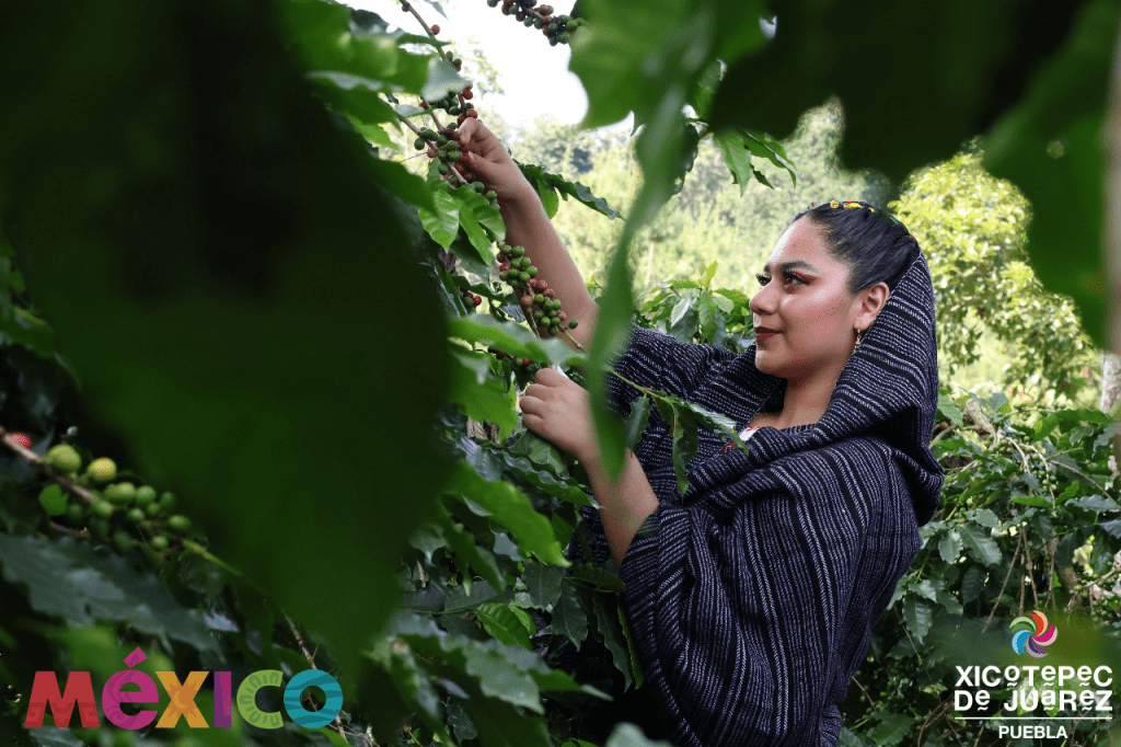VISITA XICOTEPEC PUEBLO MÁGICO DE LA SIERRA NORTE DE PUEBLA