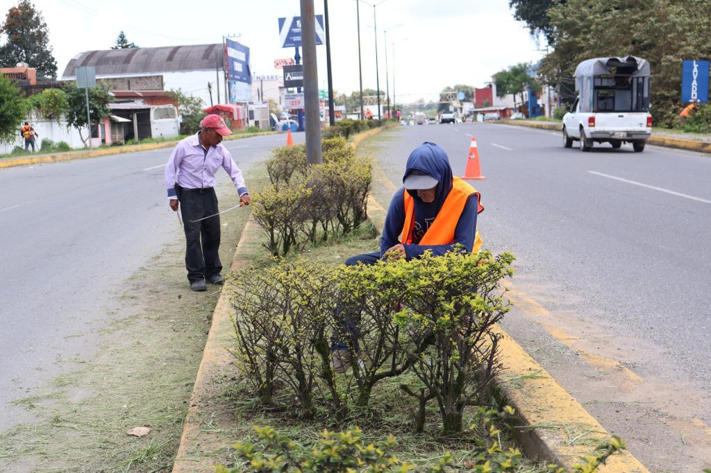 DAN MANTENIMIENTO A CUNETAS Y ÁREAS VERDES DEL BOULEVARD