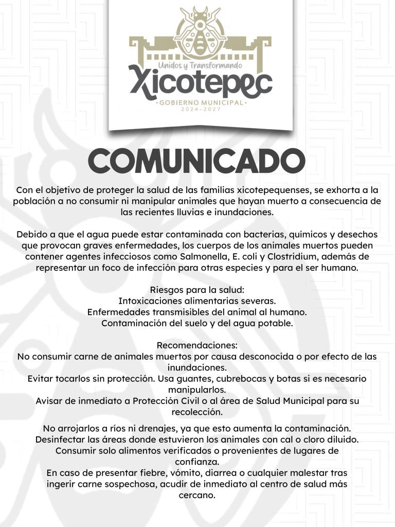 EXHORTA SALUD A NO CONSUMIR ANIMALES MUERTOS POR LAS LLUVIAS