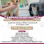 PARTICIPA EN CAMPAÑA DE VACUNACIÓN Y ESTERILIZACIÓN CANINA Y FELINA