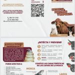 AMIGO GANADERO, TOMA PRECAUCIONES PARA EVITAR EL GUSANO BARRENADOR